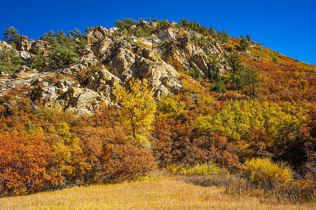 Rote Felsen und blauer Himmel im Roxborough State Park, Herbst in Colorado, USA