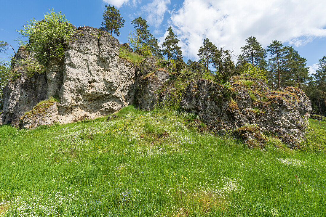 Die Felsformation Langerstein im Paradiestal, Fränkische Schweiz, Gemeinde Stadelhofen, Landkreis Bamberg, Oberfranken, Bayern, Deutschland