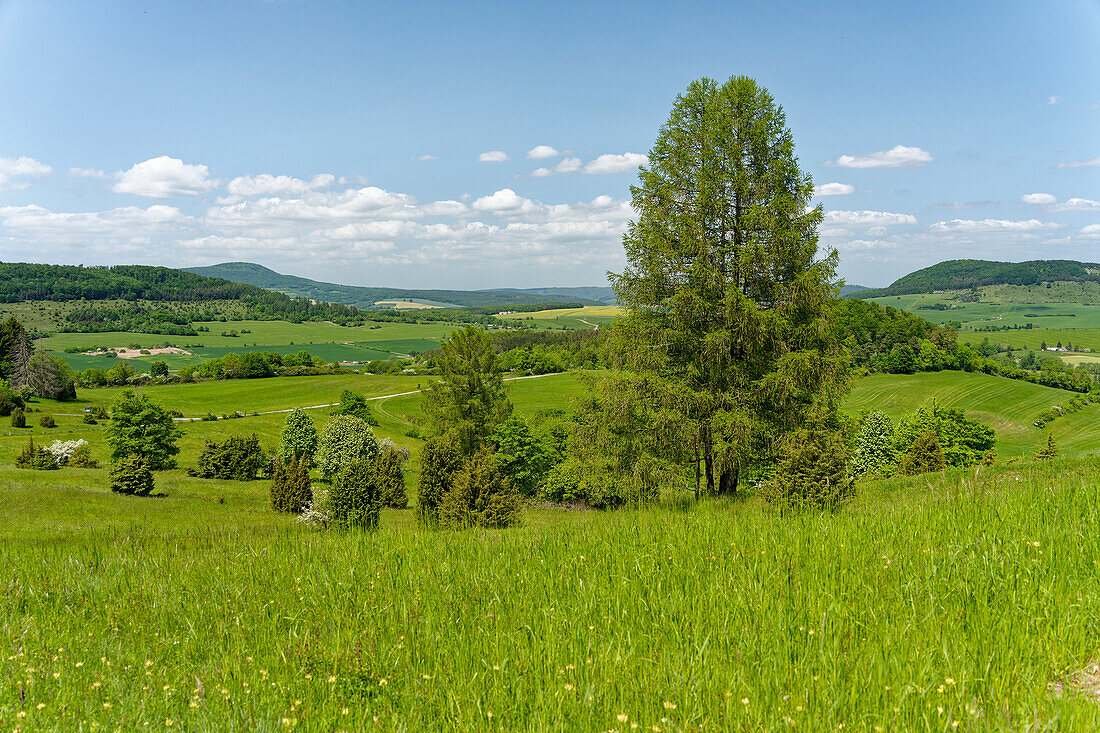 Landscape in the Wiesenthal Switzerland nature reserve, Rhön Biosphere Reserve, Wiesenthal municipality, Wartburgkreis, Thuringia, Germany