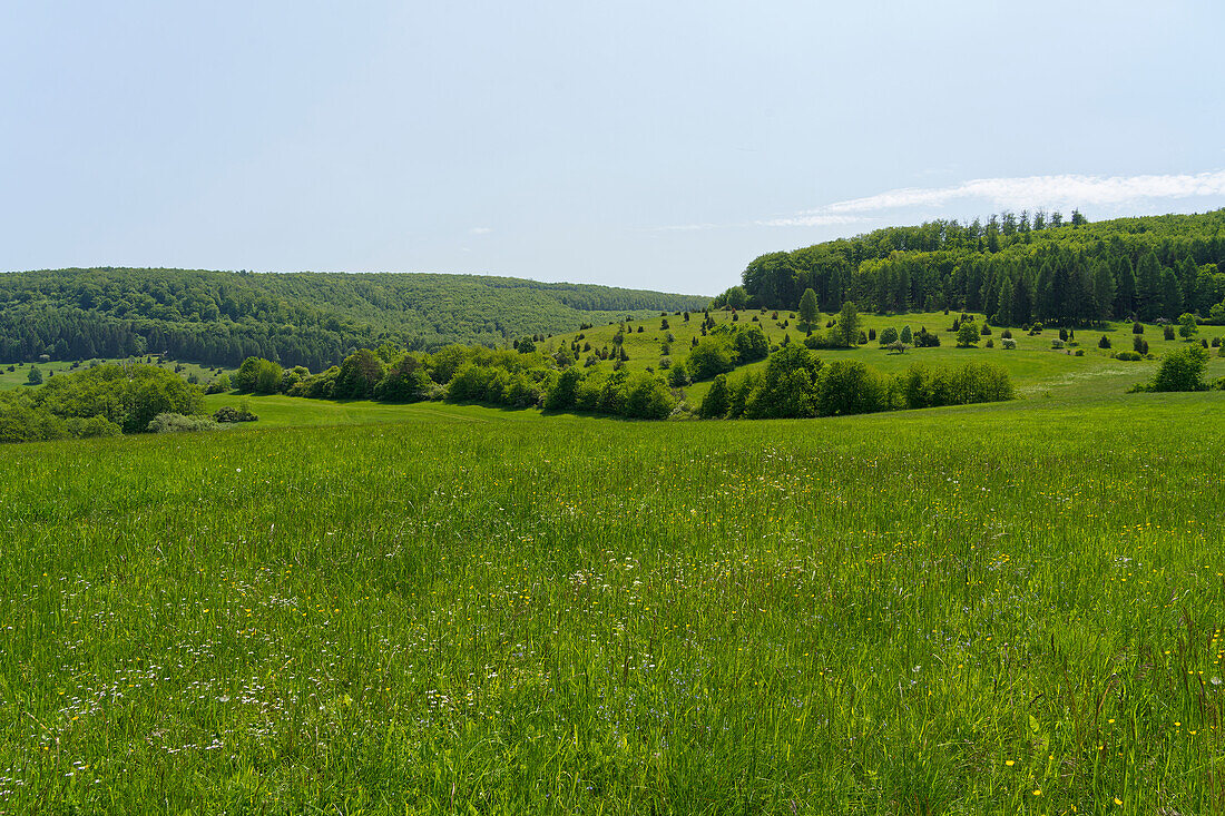 Landschaft im Naturschutzgebiet Wiesenthaler Schweiz, Biosphärenreservat Rhön, Gemeinde Wiesenthal, Wartburgkreis, Thüringen, Deutschland