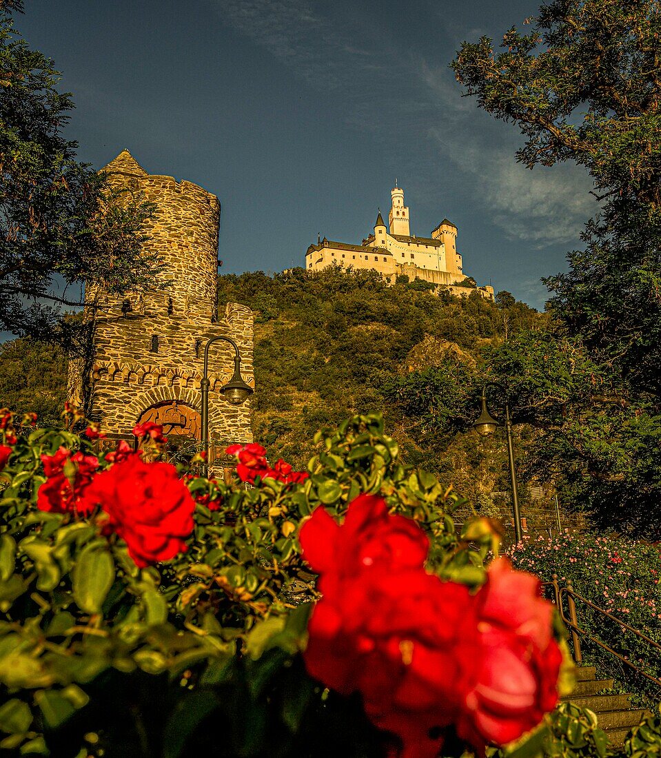 View from the rose garden in Braubach to the Marksburg, Upper Middle Rhine Valley, Rhineland-Palatinate, Germany