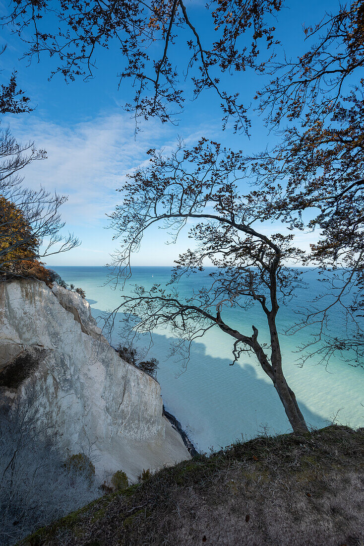 Steilküste Møns Klint, Kreidefelsen, weißes Wasser der Ostsee durch ausgewaschene Kreide nach Sturmflut, Insel Mön, Dänemark
