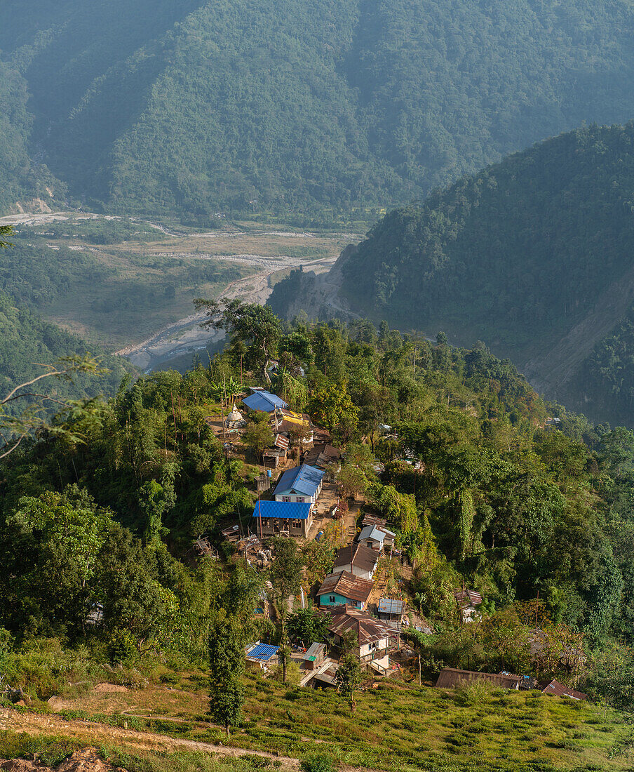 Quartiere der Plantagenarbeiter auf einer Lichtung über dem Sashin-Tal, Darjeeling, Wesdtbengalen