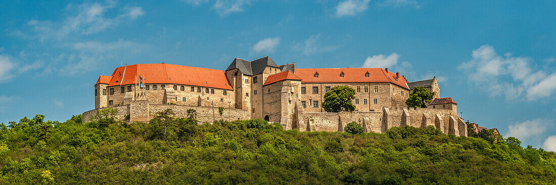 Schloss Neuenburg im Saale-Tal bei Freyburg geht auf das 11.Jh zurück und wurde im 14.Jh. zur Schlossanlage erweitert, Sachsen-Anhalt, Deutschland
