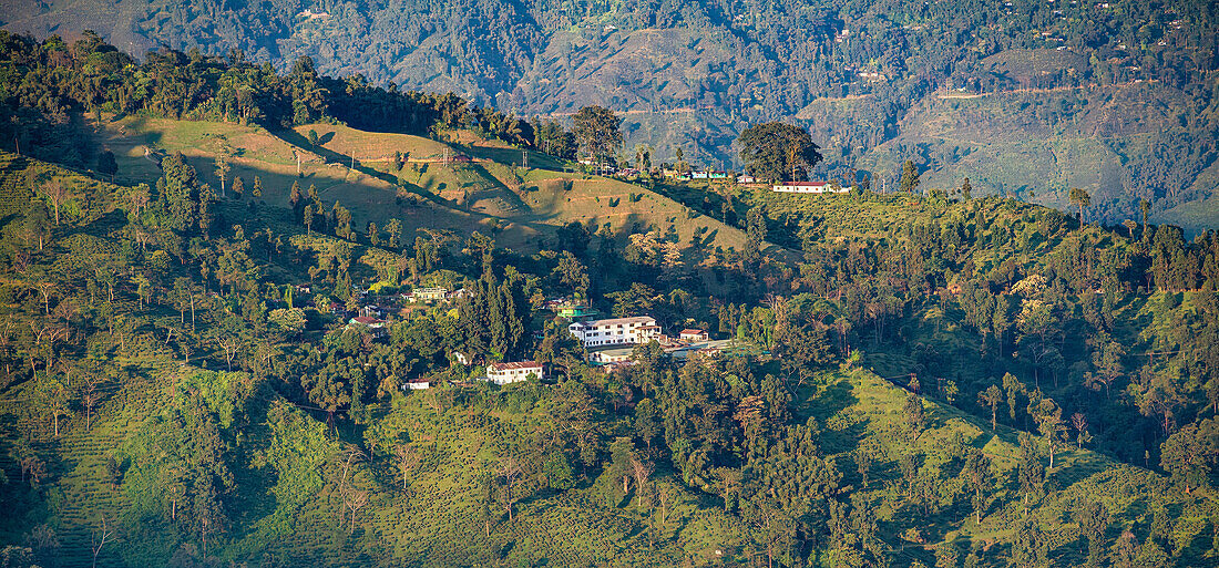 Teeplantage mit Fabrikgebäude und Feldern nahe Darjeeling, West-Bengalen, Indien