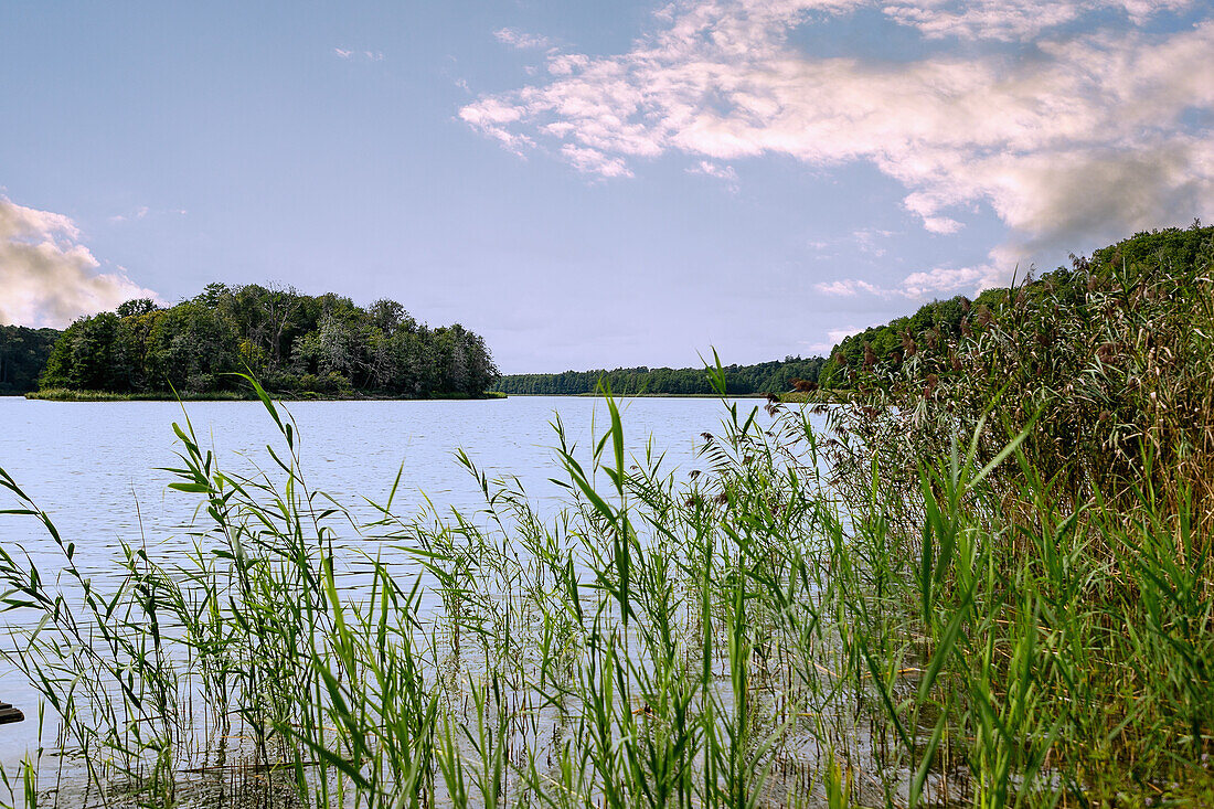 Jezioro Góreckie im Nationalpark Großpolen (Wielkopolski Park Narodowy) in der Woiwodschaft Wielkopolska in Polen