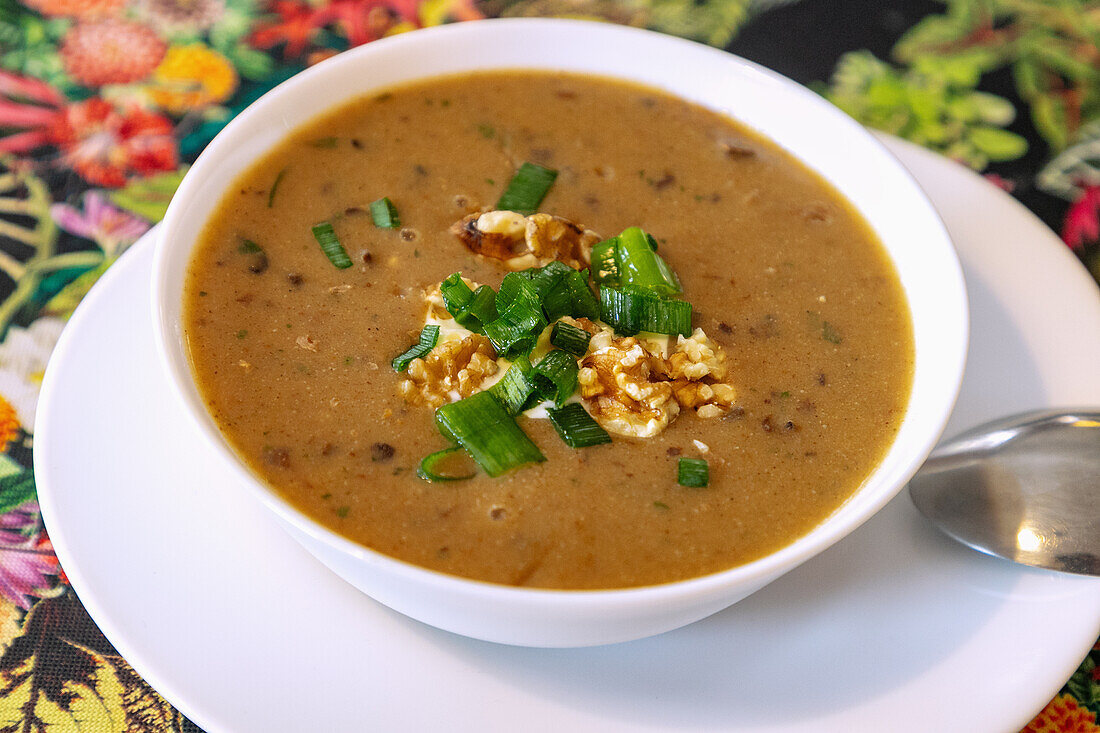 polnische Walnusssuppe mit Frühlingszwiebeln, serviert in Chełmno in der Wojewodschaft Kujawsko-Pomorskie in Polen