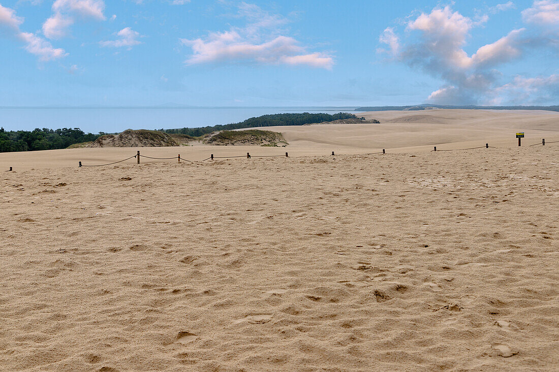 Wanderdüne Łącka Góra (Lansker Düne, Lacka Gora; Lonske Düne) und polnische Sahara im Słowiński Park Narodowy (Slowinzischer Nationalpark) in der Wojewodschaft Pomorskie in Polen