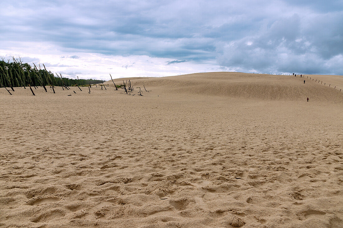 Moving dune Łącka Góra (Lanske Dune, Lacka Gora; Lonske Dune) and Polish Sahara in Słowiński Park Narodowy (Slowinski National Park) in Pomorskie Voivodeship in Poland after a storm