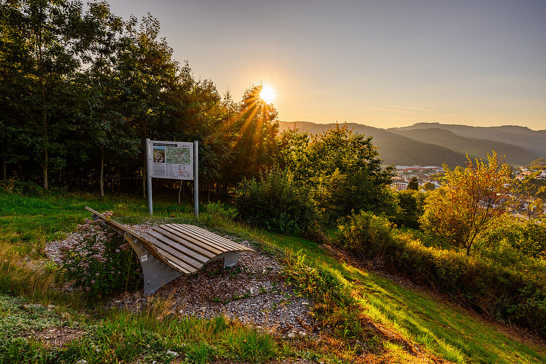 Oppenau im sommerlichen Abendlicht, Oppenau, Renchtal, Baden-Württemberg, Deutschland