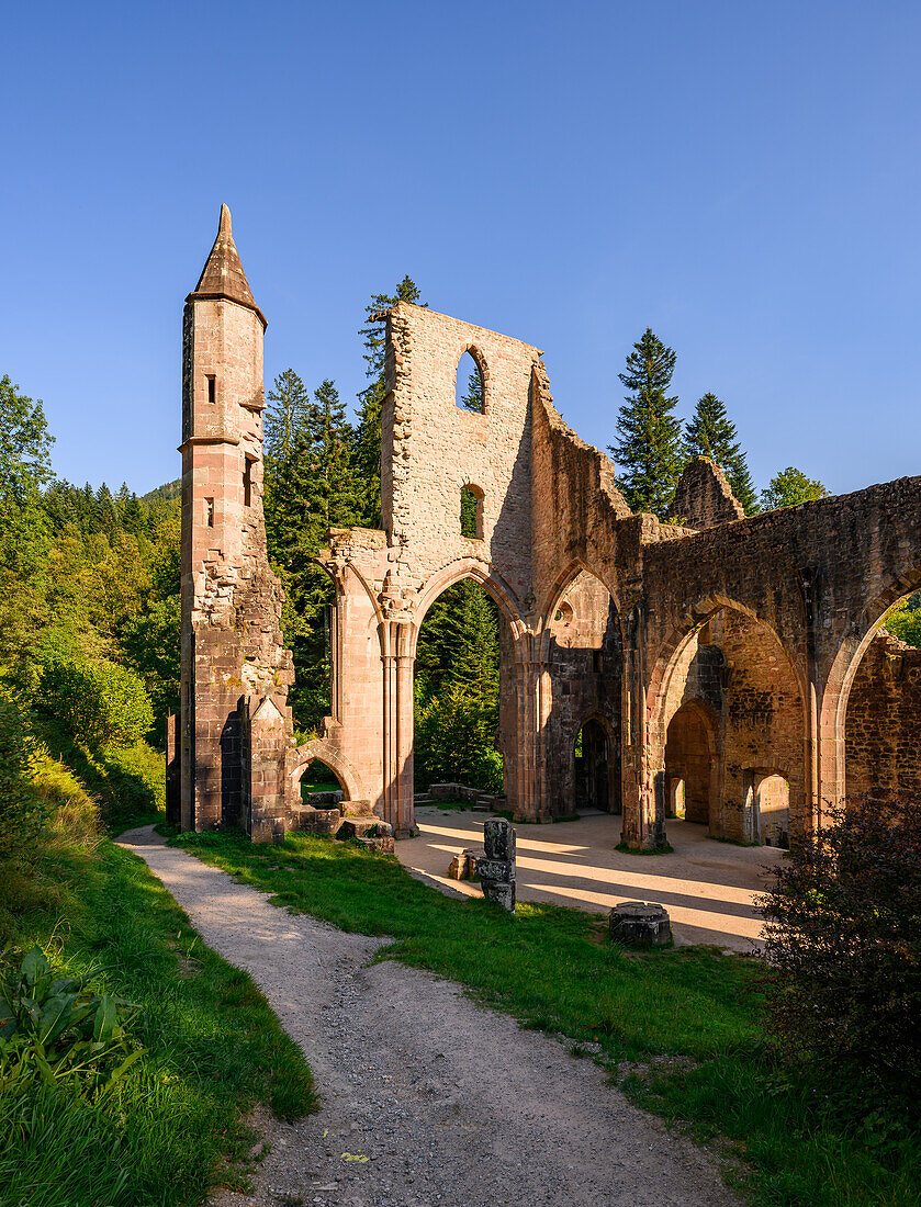 Klosterruine Allerheiligen, Oberkirch, Renchtal, Baden-Württemberg, Deutschland