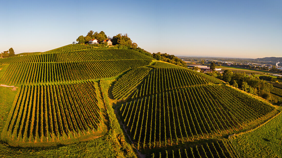 Weinbege im Rechntal, Oberkirch, Renchtal, Baden-Württemberg, Deutschland