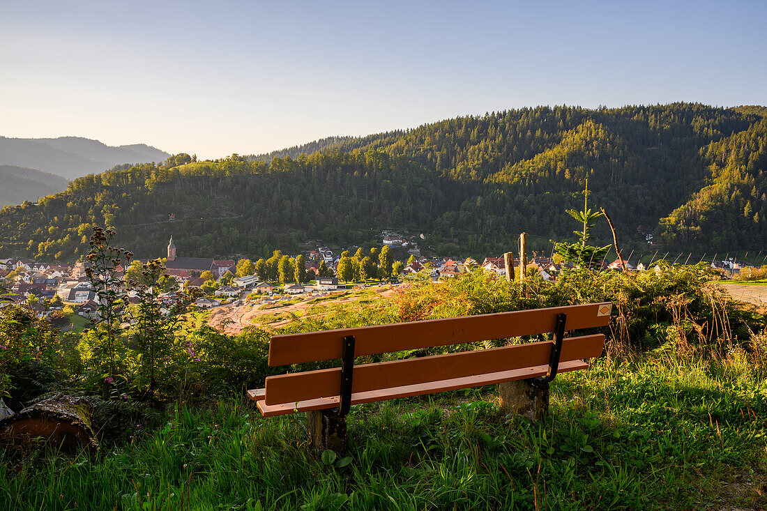 Oppenau in the summer evening light, Oppenau, Renchtal, Baden-Württemberg, Germany