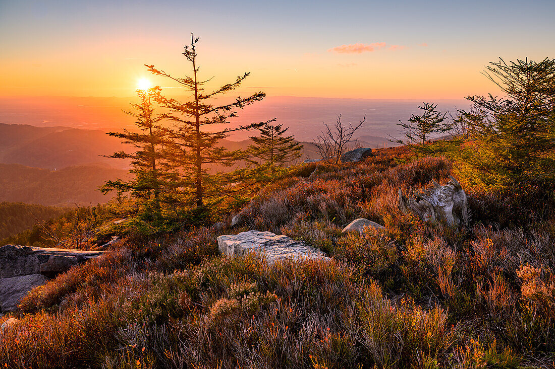 Sonnenuntergang am Katzenkopf, Schwarzwald, Baden-Württemberg, Deutschland