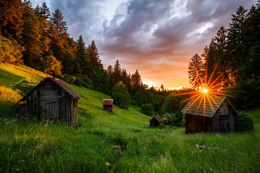 Hay huts, Black Forest, Baden-Württemberg, Germany