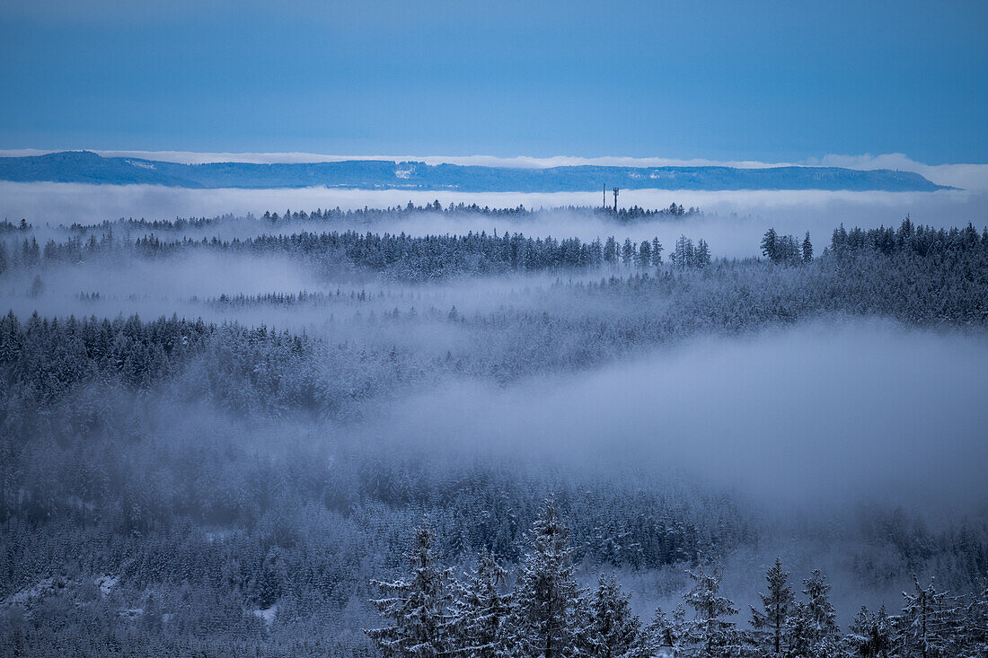 Wintry Black Forest, Schliffkopf, Black Forest, Baden-Württemberg, Germany