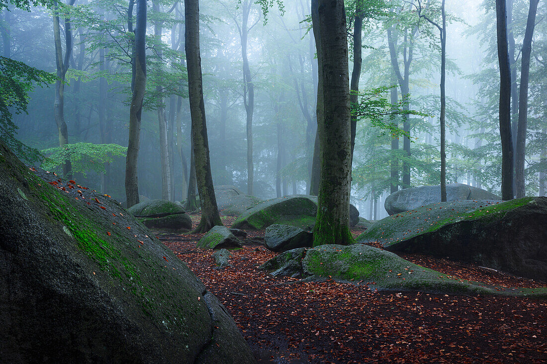 Sommernebel am Felsenmeer, Lautertal, Odenwald, Hessen, Deutschland