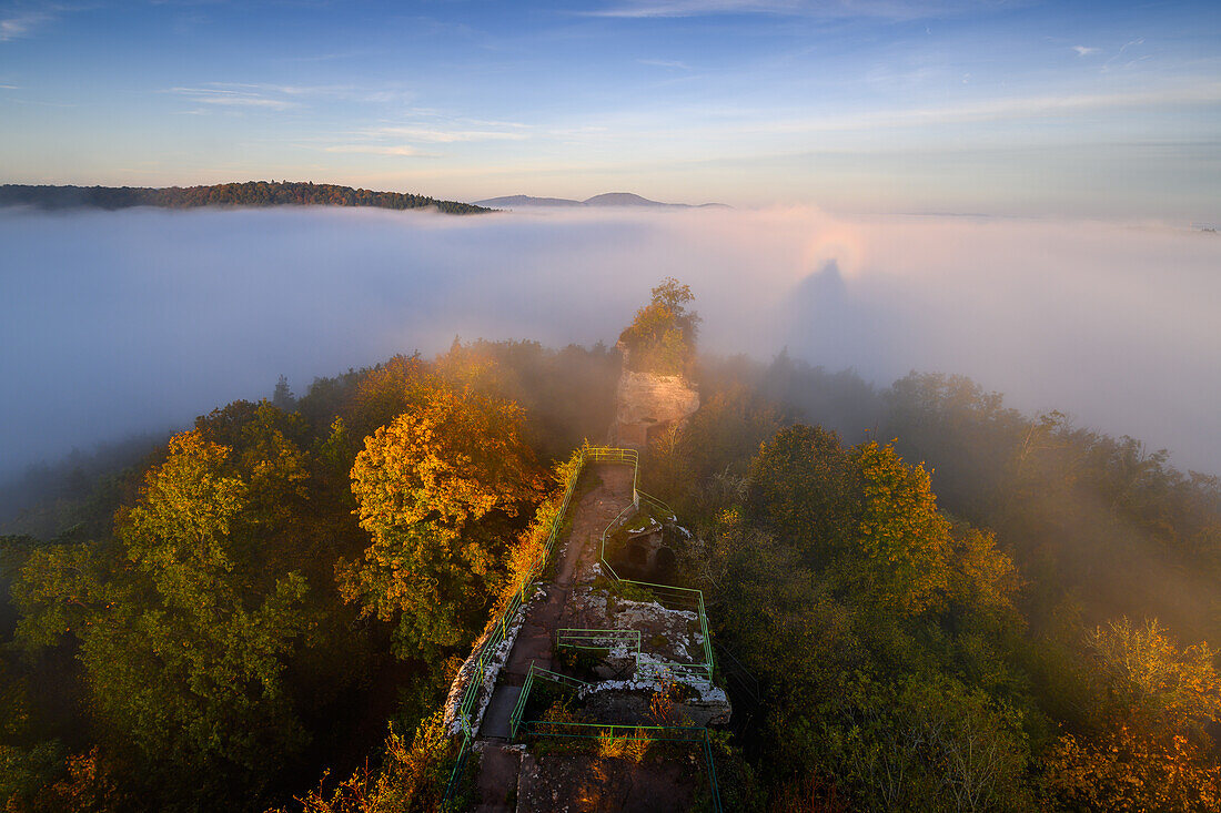 Nebelbogen bei Burg Drachenfels bei Busenberg, Pfälzerwald, Rheinland-Pfalz, Deutschland