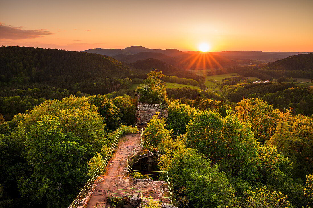Sommerlicher Sonnenuntergang bei Burg Drachenfels, Pfälzerwald, Rheinland-Pfalz, Deutschland