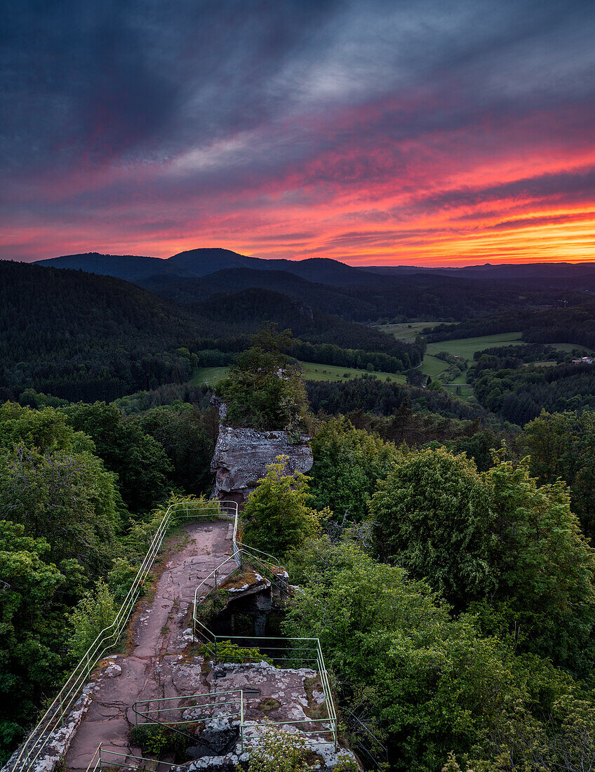 Himmelsröte über Burg Drachenfels, Pfälzerwald, Rheinland-Pfalz, Deutschland