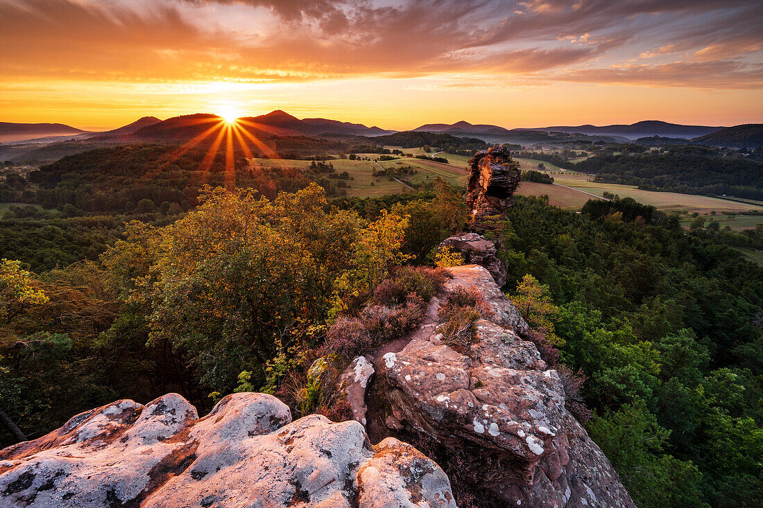 Luger Geiersteines at sunrise, Palatinate Forest, Rhineland-Palatinate, Germany