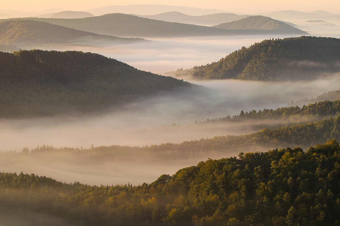 Nebelschwaden im Pfälzerwald, Rheinland-Pfalz, Deutschland