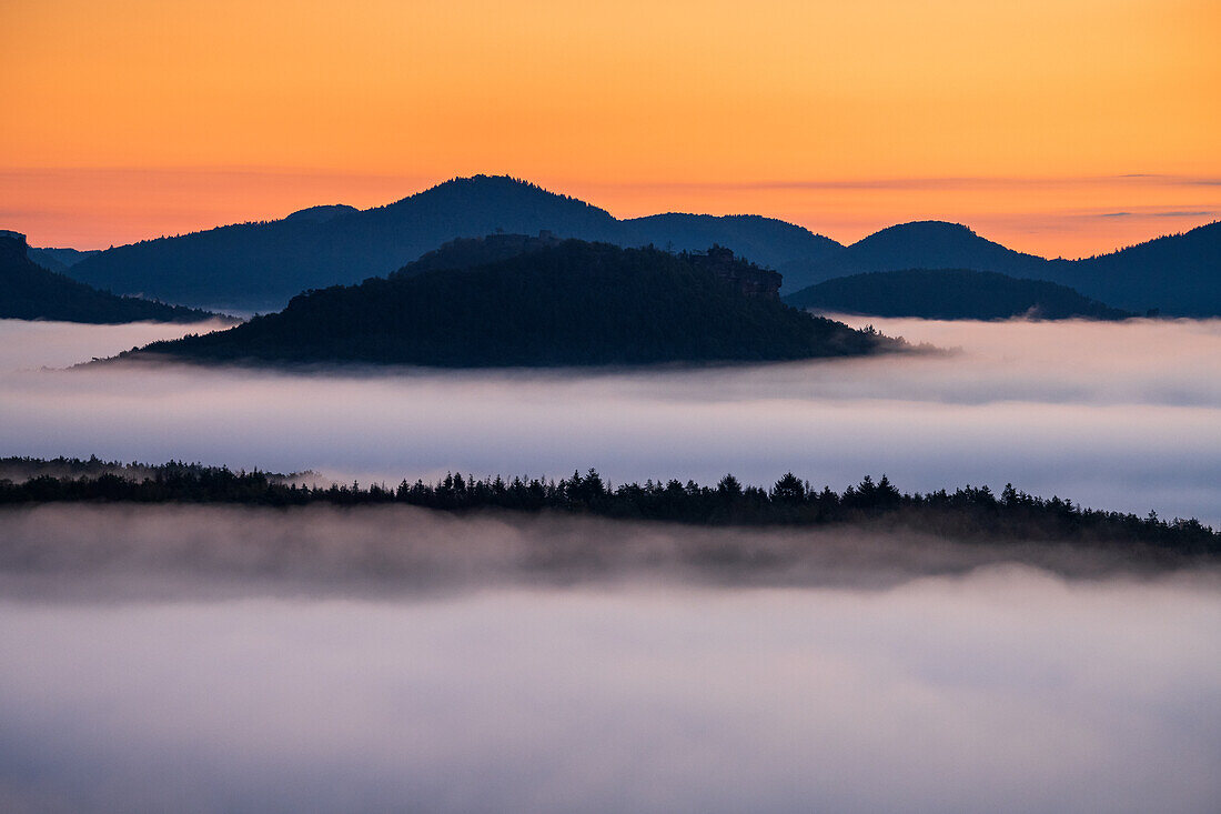 Fog valleys in the Palatinate Forest, Palatinate Forest, Rhineland-Palatinate, Germany