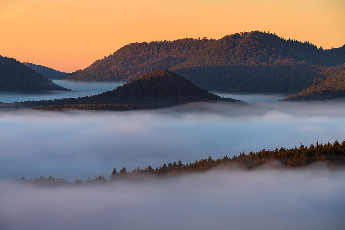 Nebelberge bei Sonnenaufgang, Pfälzerwald, Rheinland-Pfalz, Deutschland