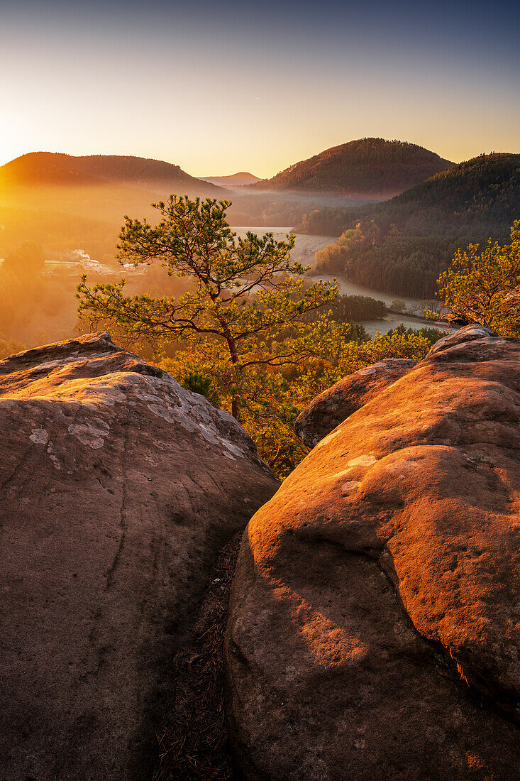 Autumnal sunrise at Sprinzelfelsen, Palatinate Forest, Rhineland-Palatinate, Germany