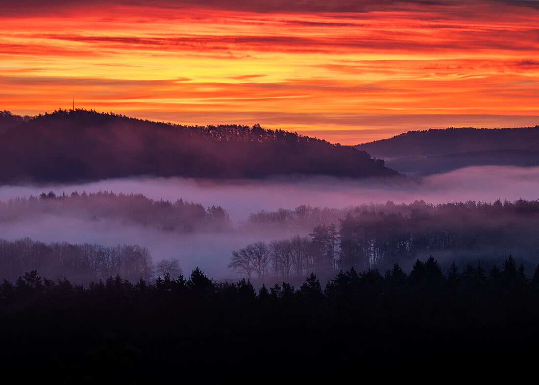 Morgendliche Dämmerung, Pfälzerwald, Rheinland-Pfalz, Deutschland