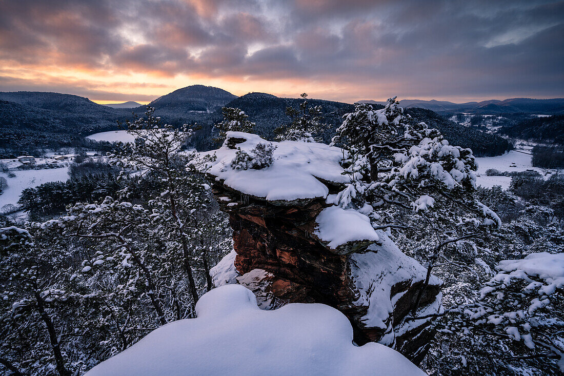 Sprinzelfelsen in winter, Palatinate Forest, Rhineland-Palatinate, Germany