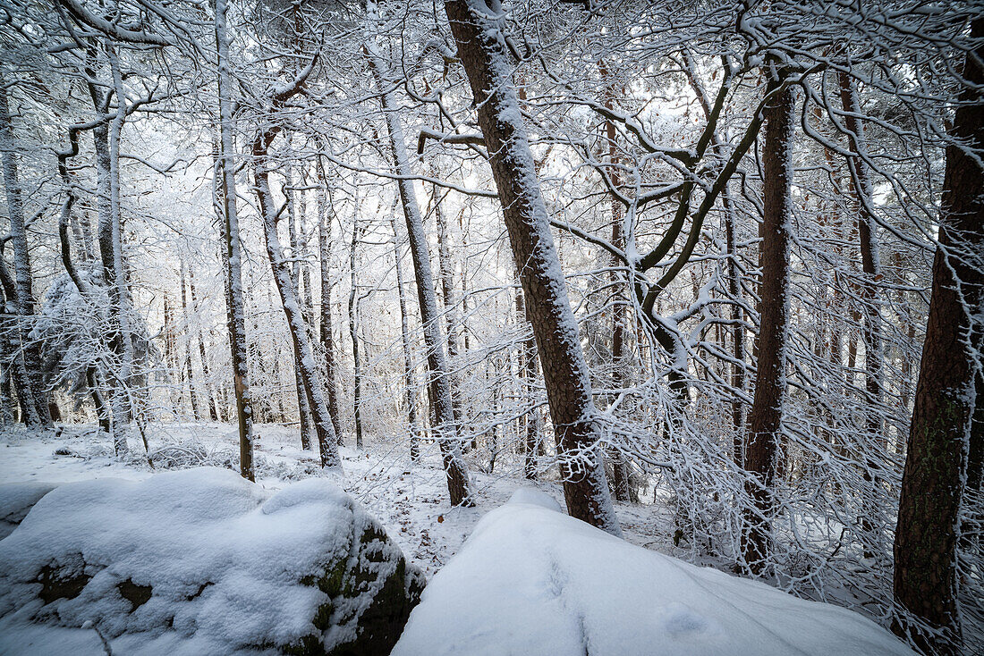 The Kalmit in winter, Maikammer, Palatinate Forest, Rhineland-Palatinate, Germany