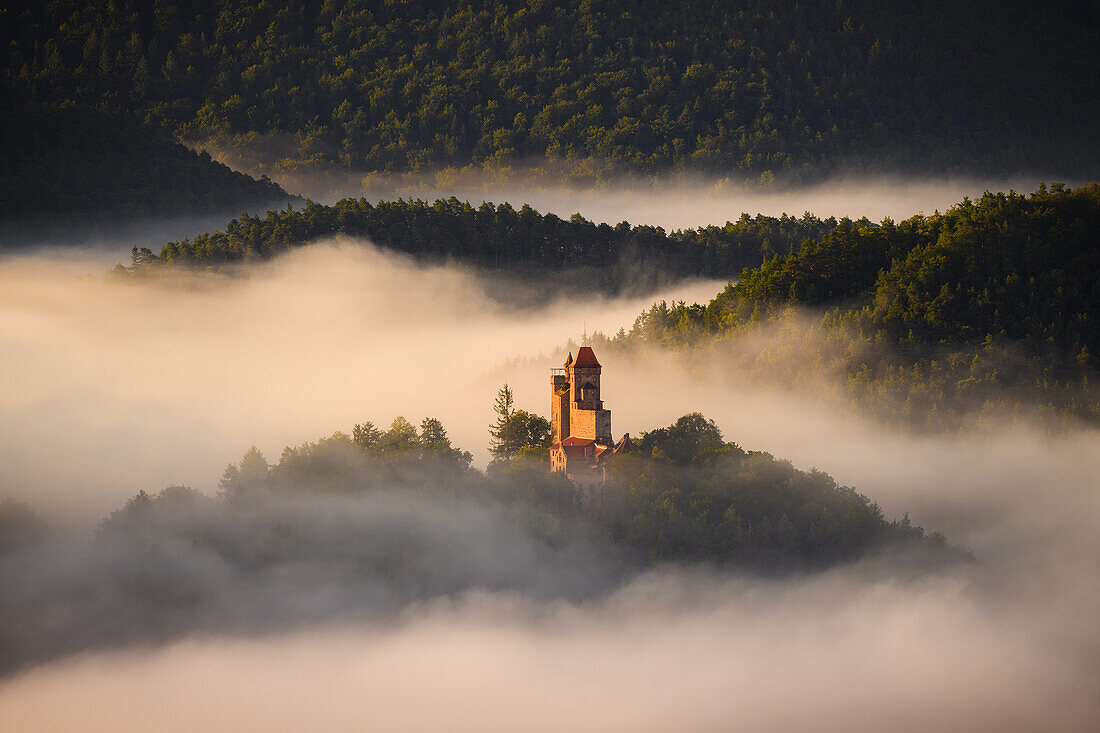 Burg Berwartstein über dem Nebel, Erlenbach, Pfälzerwald, Rheinland-Pfalz, Deutschland