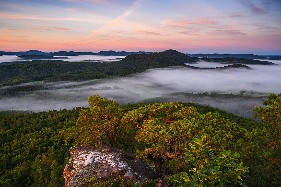 Dämmerung am Buhlsteinpfeiler, Pfälzerwald, Rheinland-Pfalz, Deutschland