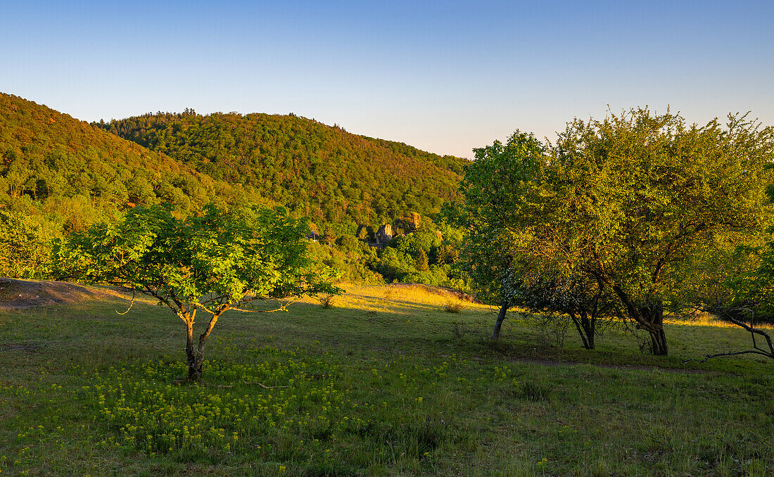 View of the Falkensteiner Valley, Palatinate Forest, Rhineland-Palatinate, Germany