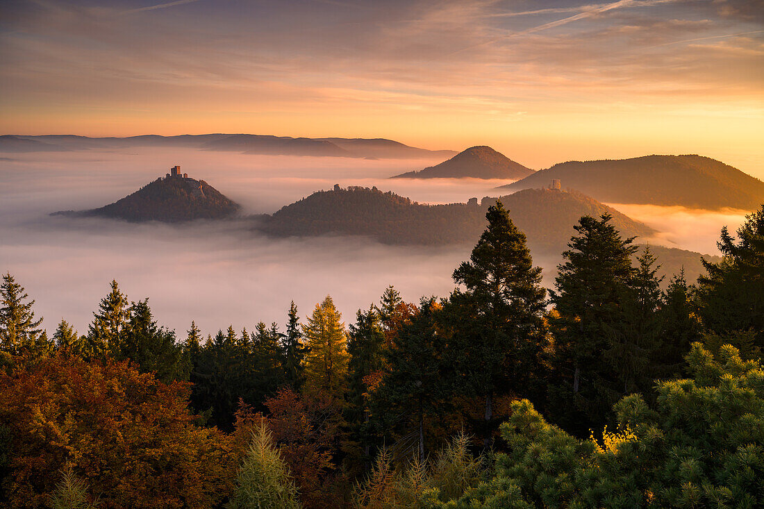 Burg Trifels unterm Nebelmeer, Annweiler, Pfälzerwald, Rheinland-Pfalz, Deutschland