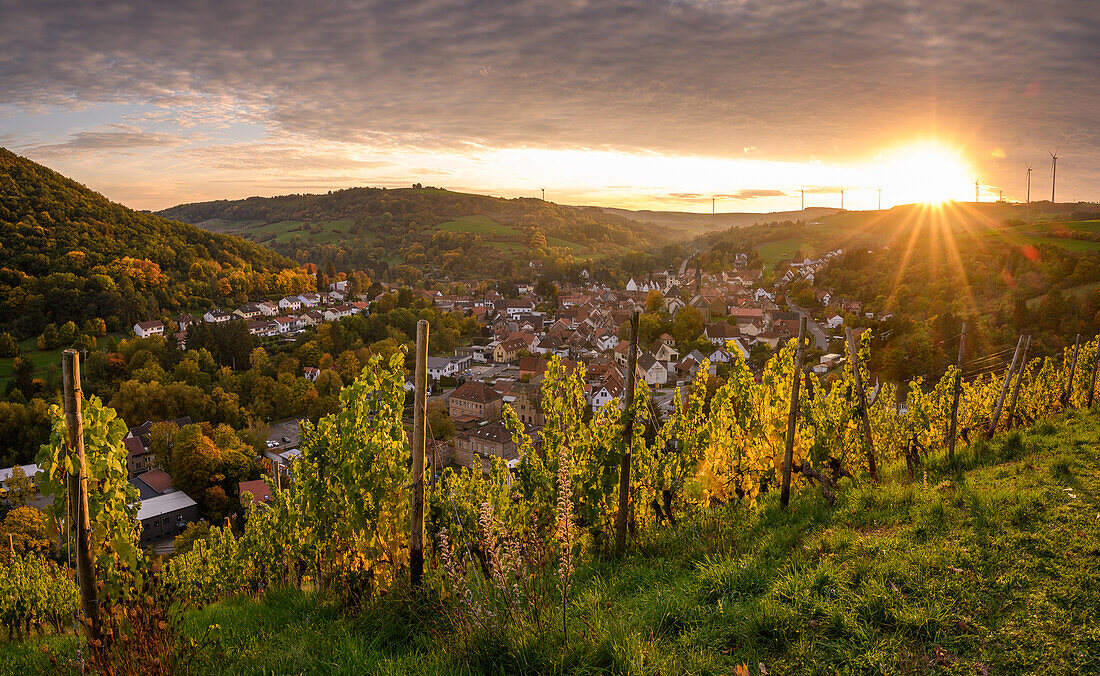 Sonnenuntergang mit Weinberge bei Obermoschel, Rheinland-Pfalz, Deutschland