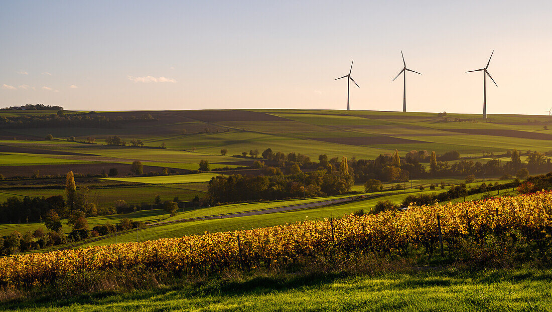 Windräder bei Sonnenuntergang, Albisheim, Rheinland-Pfalz, Deutschland