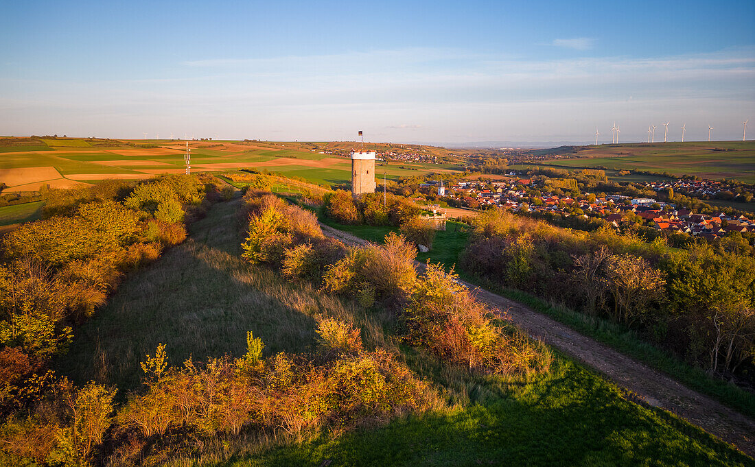 Herbstliche Weinberge am Warteturm, Albisheim, Rheinland-Pfalz, Deutschland