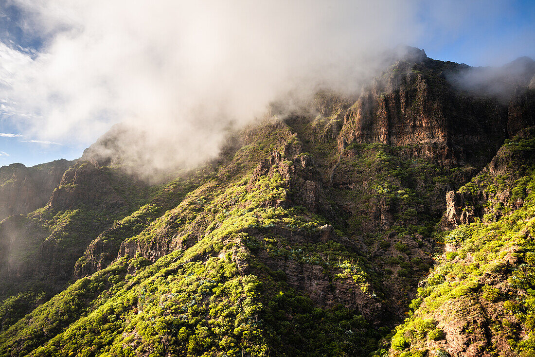 Masca Gebirge in den Wolken, Teneriffa, Spanien