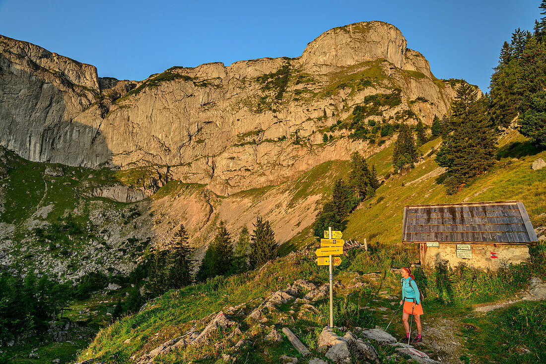 Woman hiking reads signposts under the Schafberg, Himmelspfortenweg, Schafberg, Salzkammergut Mountains, Salzkammergut, Upper Austria, Austria