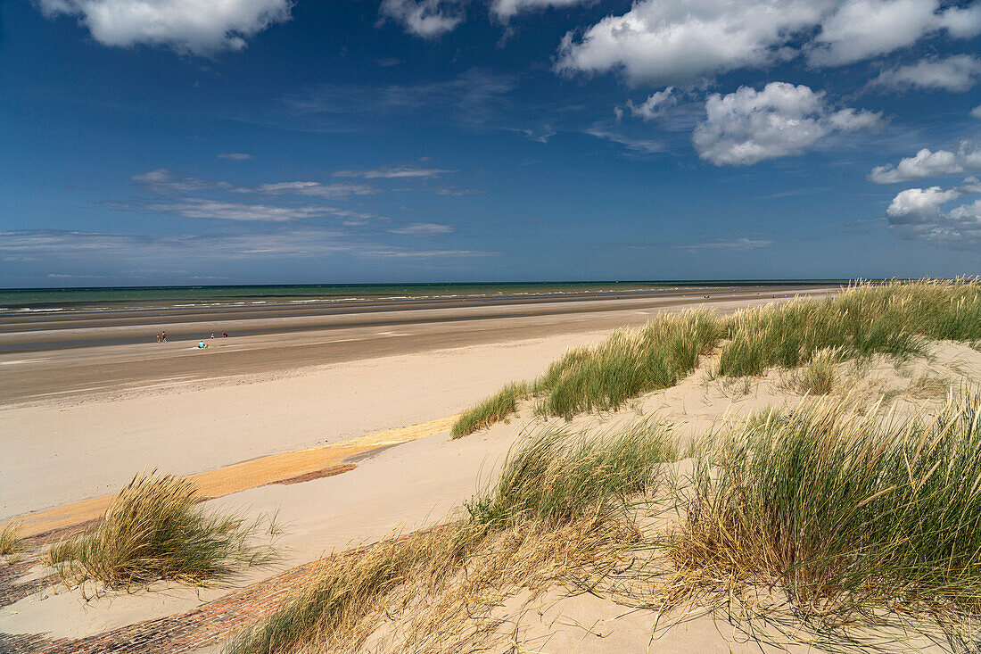 Dunes on Leffrinckoucke beach on the Côte d&#39;Opale or Opal Coast, France