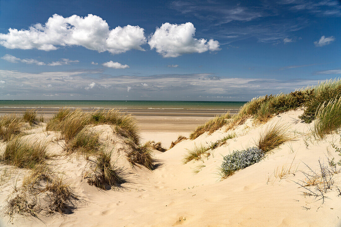 Dunes on Leffrinckoucke beach on the Côte d&#39;Opale or Opal Coast, France