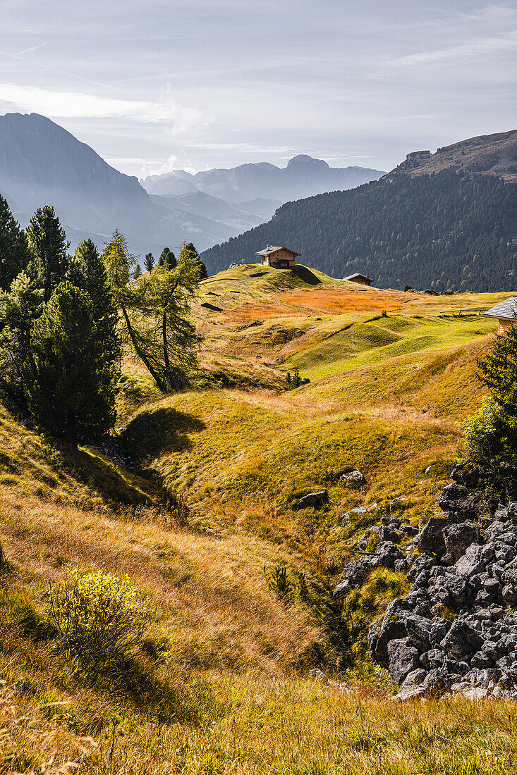 Almlandschaft bei Seceda im Herbst, Grödnertal, Bozen, Südtirol, Italien