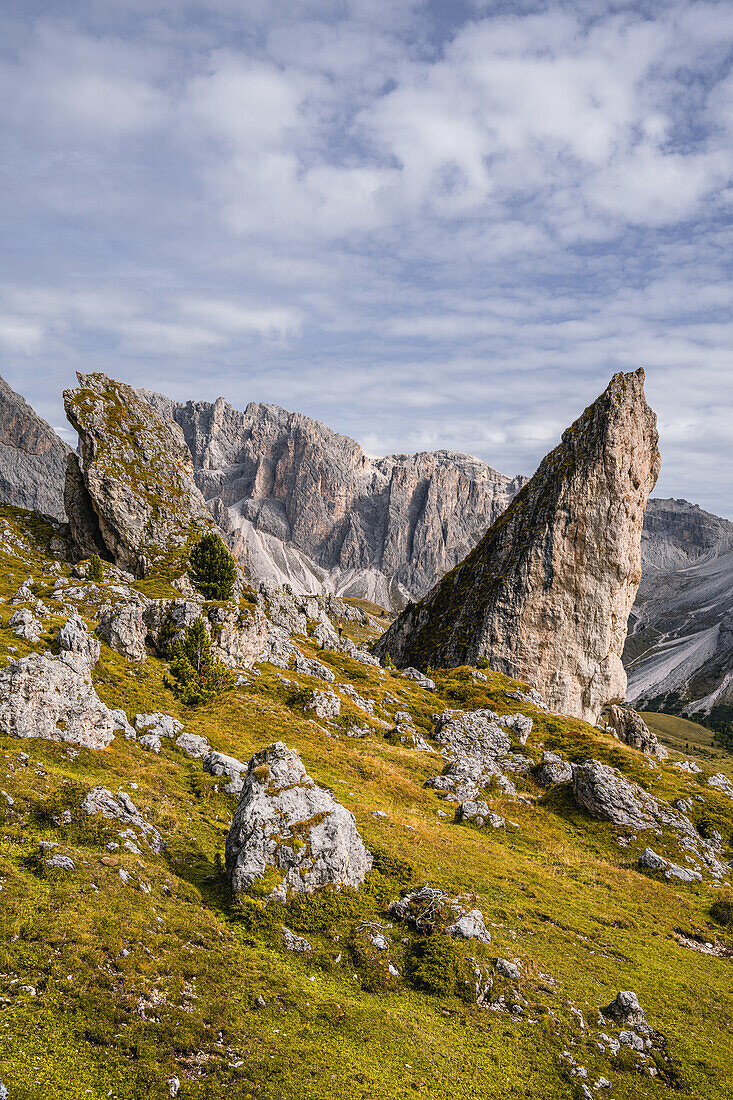 Pieralongia im Naturpark Puez-Geisler im Herbst, Grödnertal, Bozen, Südtirol, Italien