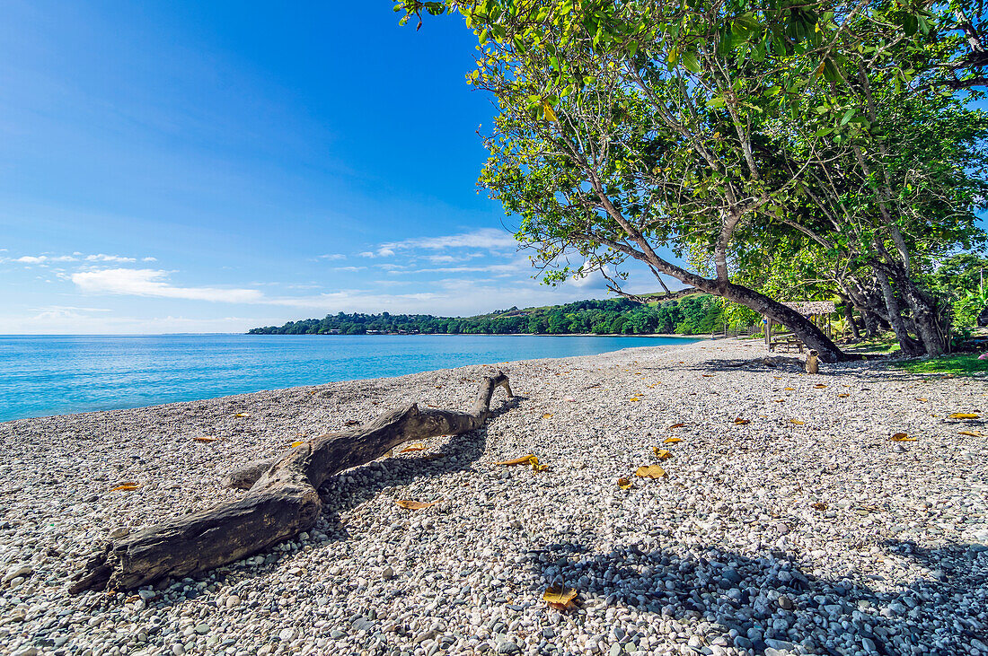 Einsamer Strand bei der Hauptstadt Honiara, Insel Guadalcanal, Salomonen, Melanesien, südwestlicher Pazifik, Südsee