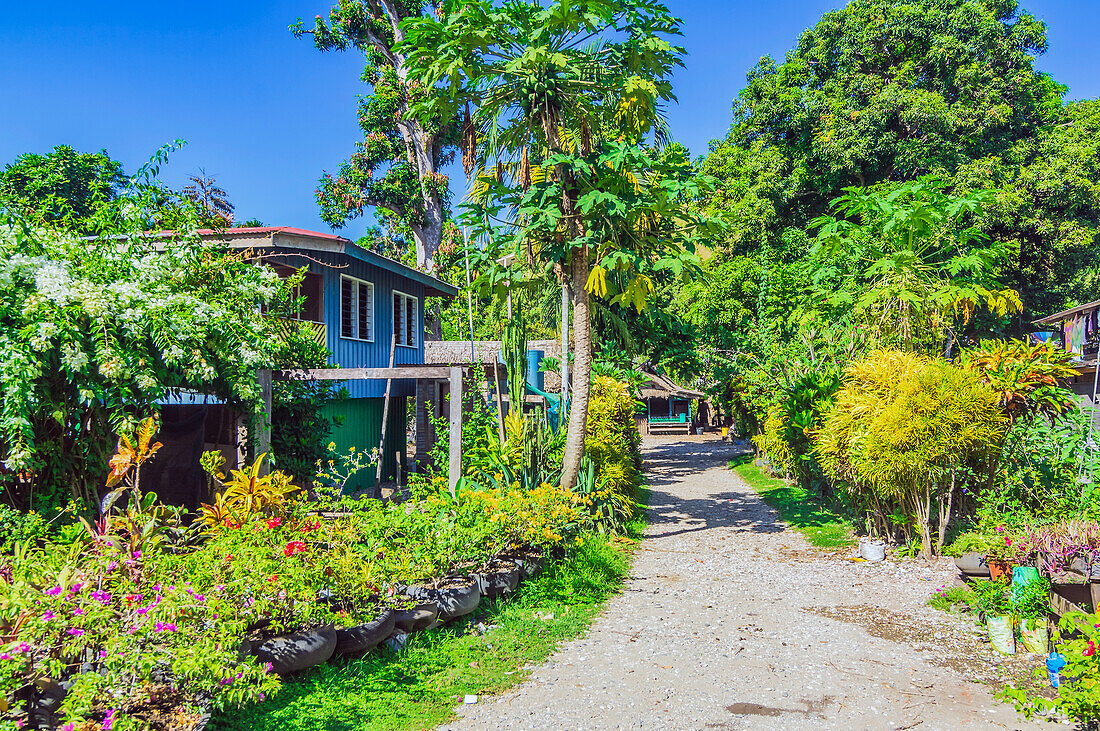 Bunte Häuser im Hinterland bei der Hauptstadt Honiara, Insel Guadalcanal, Salomonen, Melanesien, südwestlicher Pazifik, Südsee
