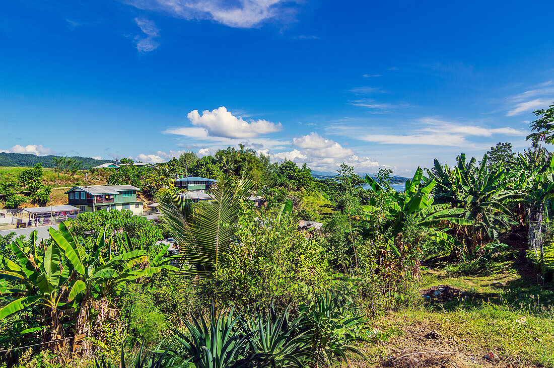 Bananenpflanzen und einzelne Häuser im Hinterland bei der Hauptstadt Honiara, Insel Guadalcanal, Salomonen, Melanesien, südwestlicher Pazifik, Südsee