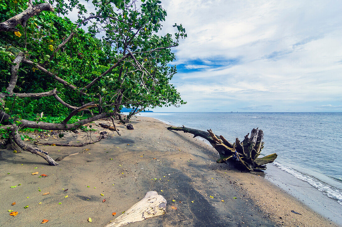Einsamer Strand bei Rabaul, am St.-Georgs-Kanal, Provinz East New Britain, Insel Neubritannien, Papua-Neuguinea, Südsee