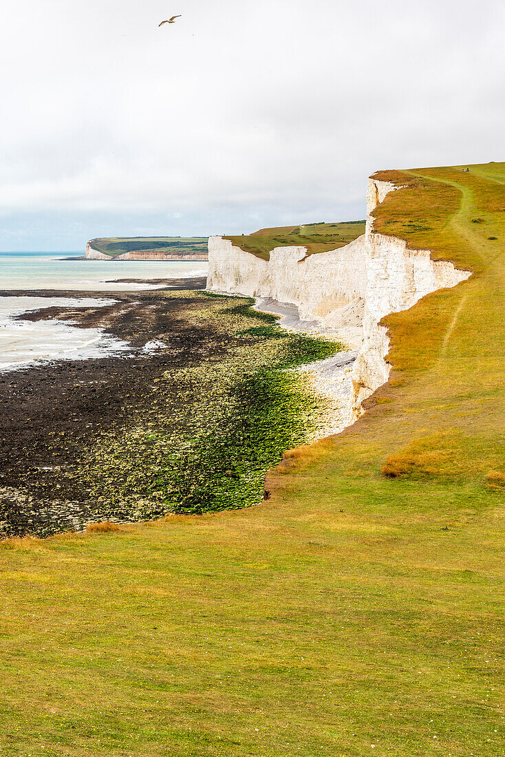 Seven Sisters chalk cliffs on the English south coast between Seaford and Eastbourne, West Sussex, England, United Kingdom